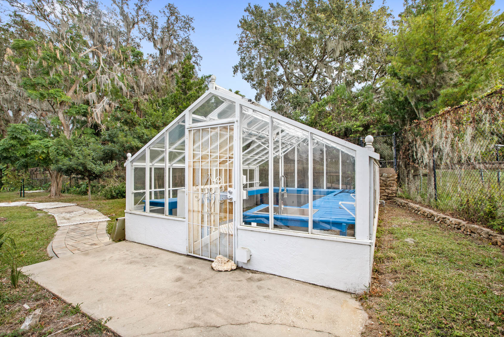 greenhouse with white paint